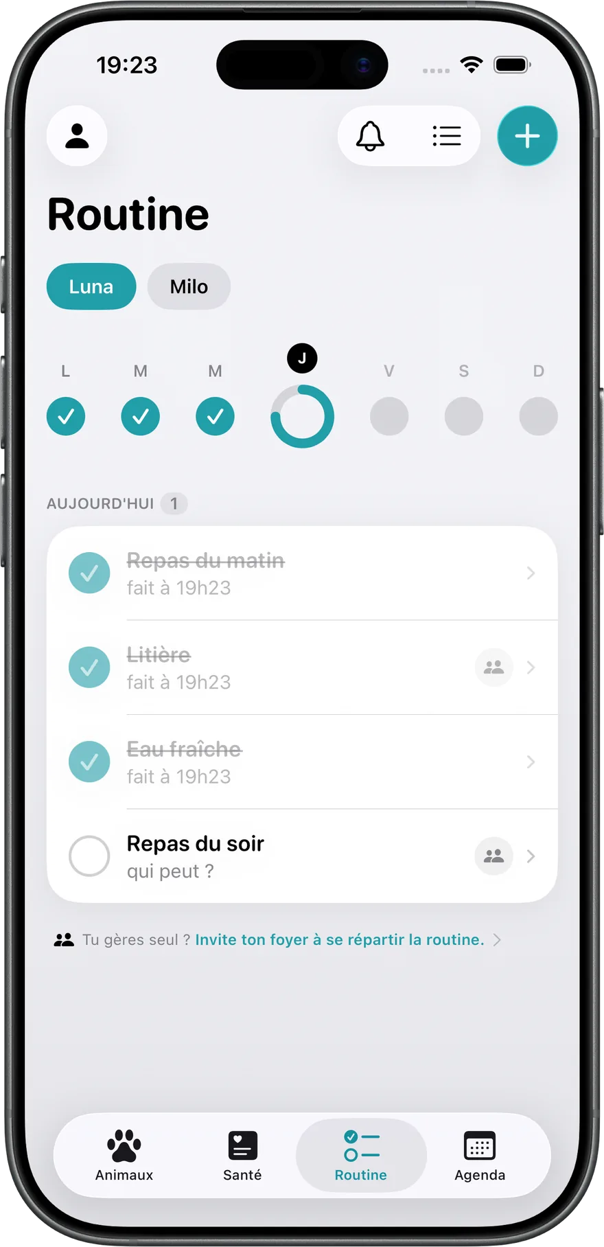 La routine du jour de Luna dans Companea : les jours passés cochés, le jeudi en cours